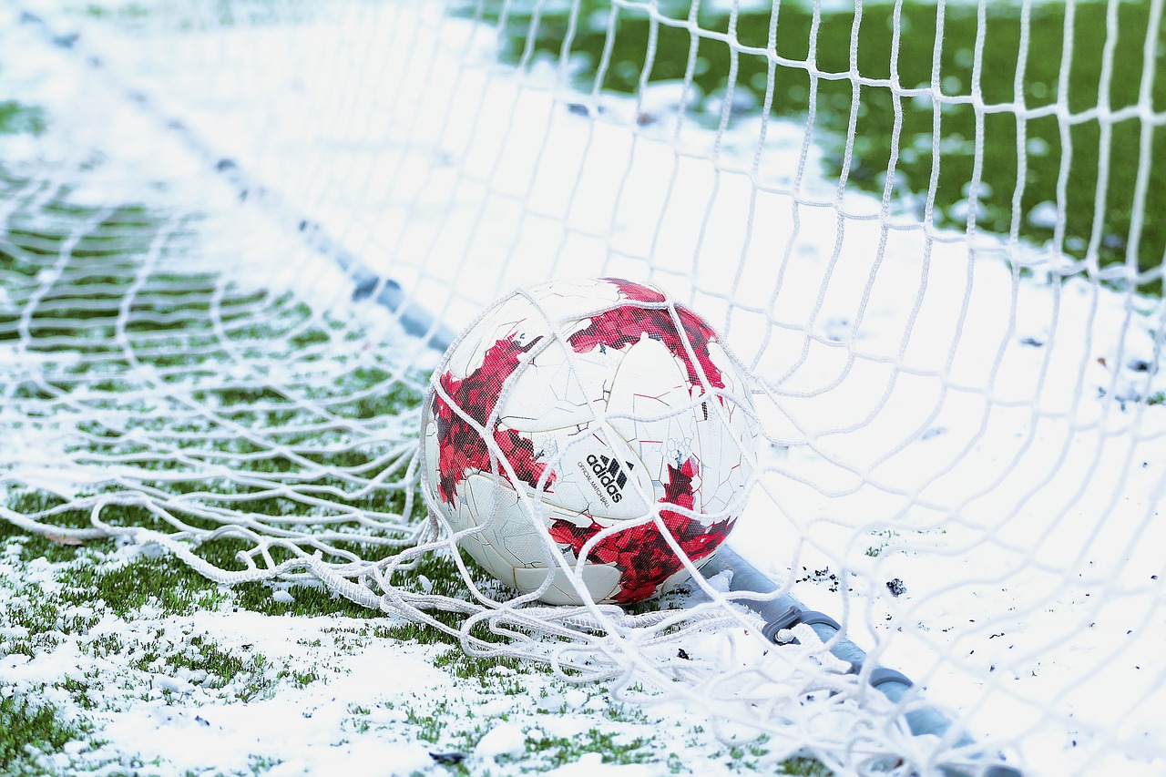 The growing popularity of sports betting The growing popularity of sports betting